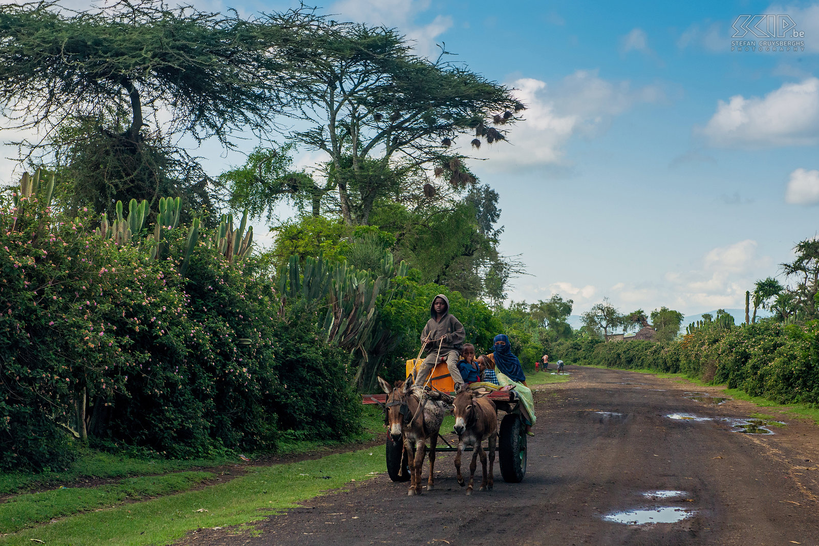 Ezelkar Een groot deel van het Oromo-volk in de regio tussen de Ethiopische Riftvallei en het Bale-gebergte is moslim en het meest gebruikte vervoelmiddel is de ezelkar. Stefan Cruysberghs